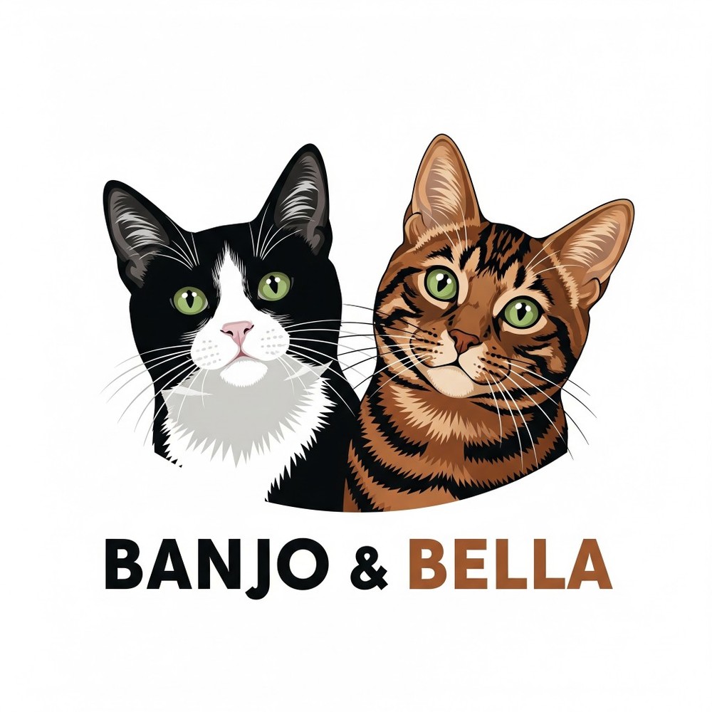 Meet your Posher, Branko